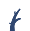 Trusted Pharmacy Services